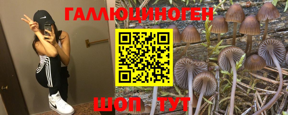 Псилоцибиновые грибы MAGIC MUSHROOMS Лобня