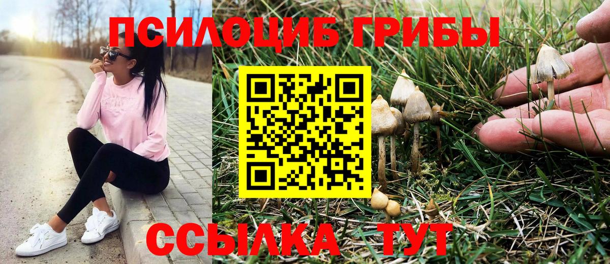 Псилоцибиновые грибы прущие грибы  Вход с VPN  Лобня 